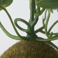 FEJKA Artificial potted plant, moss, 9 cm