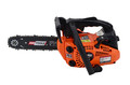 Petrol Pruning Chainsaw 1.22hp 25cm CS250