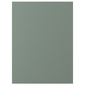 NICKEBO Door, matt grey-green, 60x80 cm