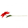 Poinsettia Christmas Decoration
