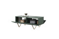 Coffee Table with Storage Scalia 120, matt labrador/gold legs