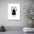 BILD Poster, Black bug, 30x40 cm