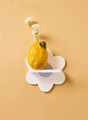 Kid's Concept Shelf flower, white