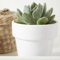 Plant Pot GoodHome 9 cm, white