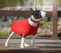 Zolux Dog Sweater Legend T35 35cm, red
