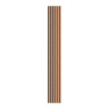 Lamella Wall Panel Vertical Line 300 x 2650 mm, black/cork, felt