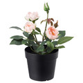 FEJKA Artificial potted plant, in/outdoor, Rose, pink, 9 cm