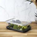 Fruit Storage Container with Colander