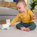 Fisher-Price Wooden Push-Along Bunny Toy Vehicle JDM52 6m+