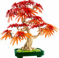 LEGO Icons Japanese Red Maple Bonsai Tree 10348 18+