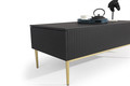 Coffee Table with 2 Drawers Nicole, matt black/gold legs