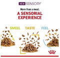 Royal Canin Sensory Smell Wet Food for Cats 85g