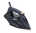 Concept Steam iron ZN9110