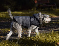 Zolux Quilted Dog Coat Winter Jacket Mountain T35 35cm, grey