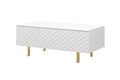 Coffee Table with Storage Scalia II 120, matt white, gold legs