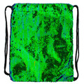 Drawstring Bag School Shoes/Clothes Bag Sequin Green