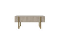 Coffee Table with 2 Drawers Verica, biscuit oak/gold legs