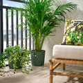 FRÄKENVÄXT Plant pot, in/outdoor/deep green, 24 cm