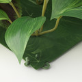 FEJKA Artificial plant, wall mounted/in/outdoor green/lilac, 26x26 cm