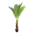 Artificial Plant Livistona Palm 135cm