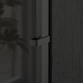 HÖGBO Glass door, black, 40x97 cm