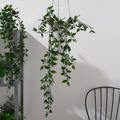 FEJKA Artificial potted plant, in/outdoor, hanging, 9 cm