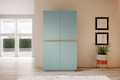 Wardrobe Nicole 100 cm, sage, gold handles