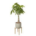 GoodHome Plant Pot Stand 24 cm, wood
