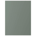 BODARP Door, grey-green, 60x80 cm