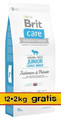 Brit Care Dog Food Grain Free Junior Large Salmon & Potato 14kg (12+2kg)