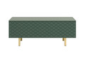 Coffee Table with Storage Scalia II 120, matt labrador, gold legs