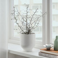 DRÖMSK Plant pot, white, 15 cm