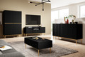 High Cabinet Sideboard Nicole, matt black, gold legs