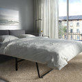 VIMLE 2-seat sofa-bed, Hallarp grey
