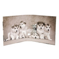 Lever Arch File A4/7cm, Dogs