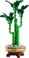 LEGO Botanicals Lucky Bamboo 18+