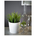 FEJKA Artificial potted plant, indoor/outdoor, grass, 9 cm
