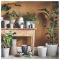 KLARBÄR Plant pot with saucer, in/outdoor brown, 12 cm