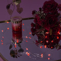 LED String Light Garland (20 Bulbs)