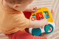 Fisher-Price Animal Friends Discovery Baby Activity Toys Collection, 1PC, assorted, HXK32 W6m+