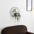 Wall Shelf Ring