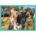 Trefl Children's Puzzle Animal Planet 4in1 35-48-54-70pcs 4+