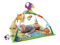 Mattel Rainforest™ Music & Lights Deluxe Gym DFP08 0+