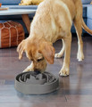 Outward Hound Fun Feeder Dog Bowl, grey