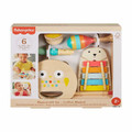 Fisher-Price Wooden Musical Instruments Gift Set Toddler Creative Play HXT90 2+