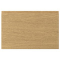 VOXTORP Door, oak effect, 60x40 cm