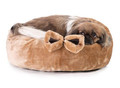 Dog Bed Nest, plush