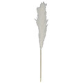 Natural Dried Pampass Grass 120cm