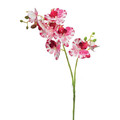 Artificial Spray Orchid Jumi 69 cm, 1pc, assorted colours