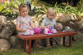 Dantoy My Little Princess Tea Set 2+